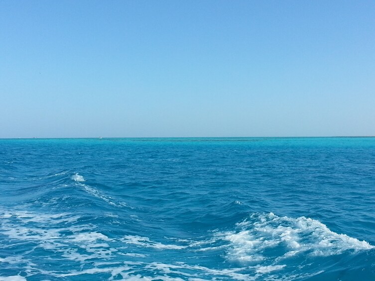 Snorkeling Trip to the Dolphin House