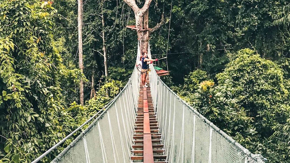 Krabi Tree Top Adventure Park 