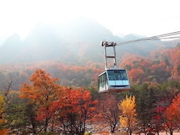 Mount Seorak and Nami Island Day Trip from Seoul