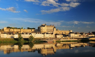 Elegant Loire: Chenonceau, Amboise, Clos Luce & Wines LVT-D2