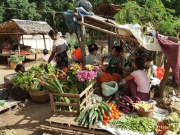 Beyond Bagan: Small Group Bike Tour