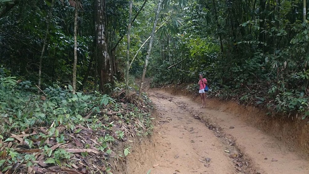 One Day Tour Khao Sok Cheow Larn Lake from Krabi