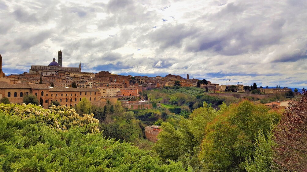 Siena & San Gimignano: Heritage Day Trip from Florence