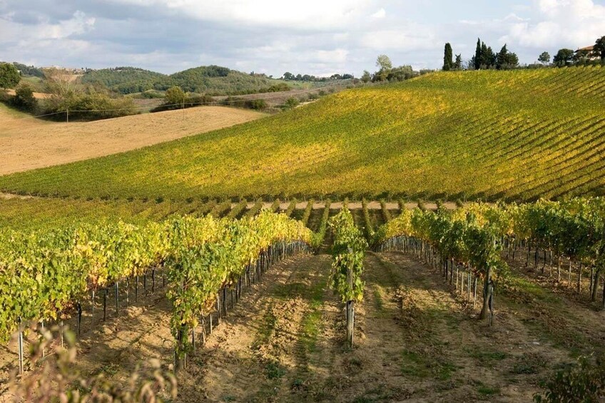 From Florence: Siena & San Gimignano Day Trip with Lunch & Wine Tasting