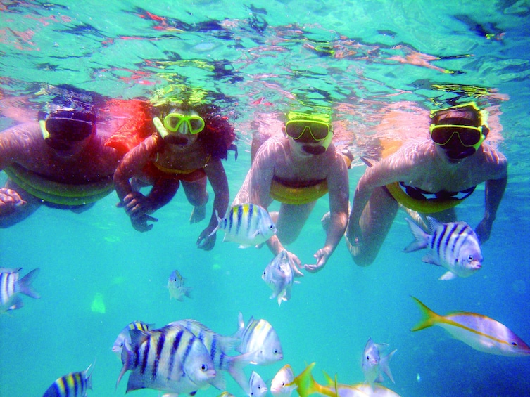 Group snorkeling in Maracajau beach