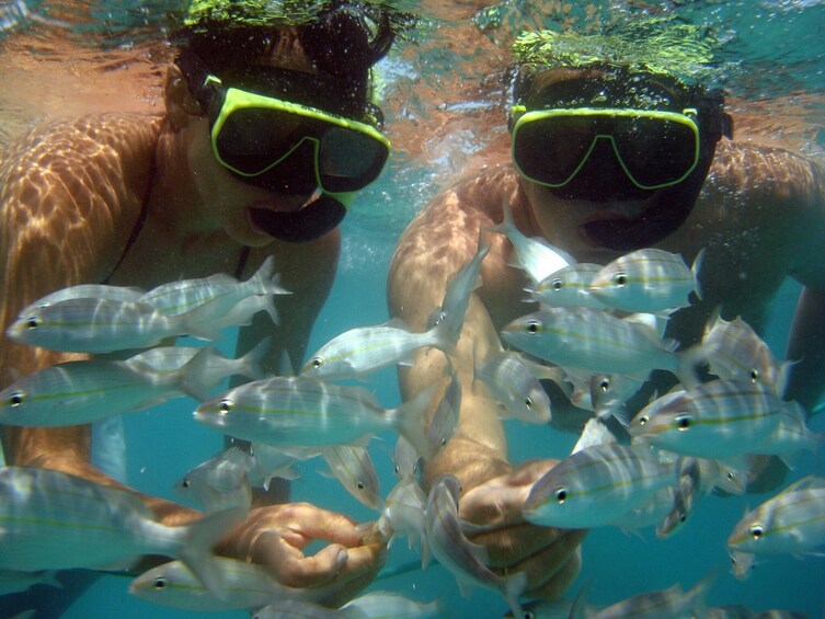 Tour To Maracajaú With Catamaran Ride