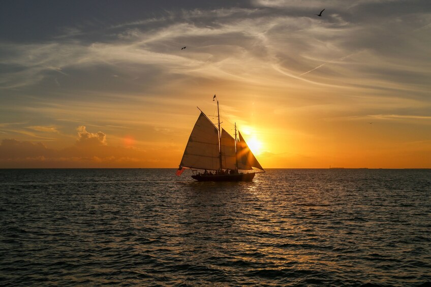 12 hours Day at Key West With Boat Tour and Snorkeling