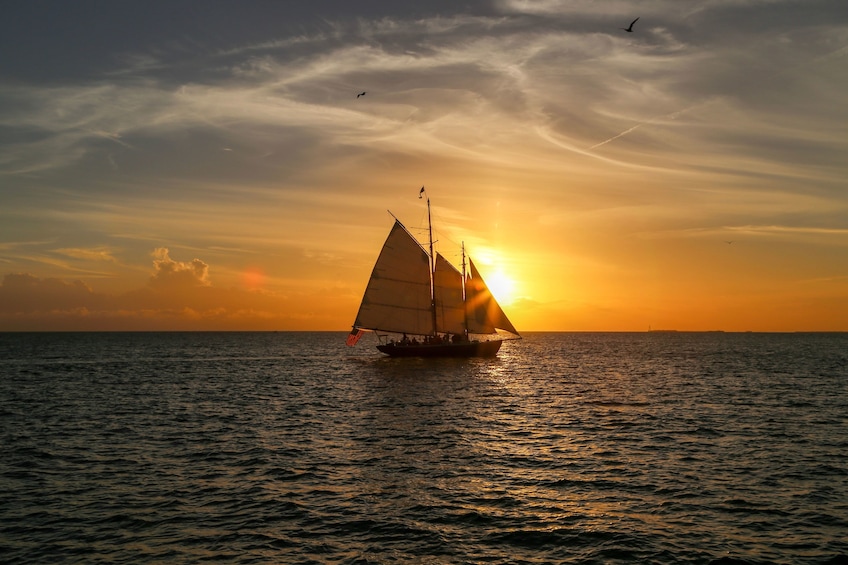 12 hours Day at Key West With Boat Tour and Snorkeling