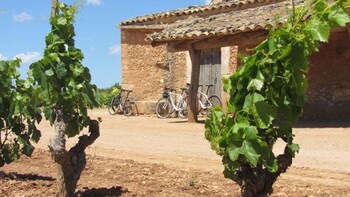 Wine & Bike Tour