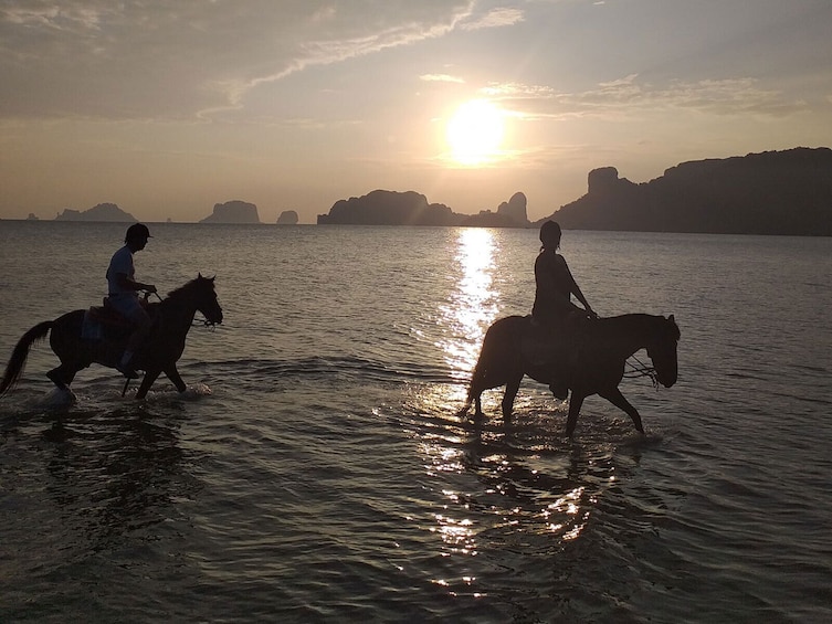 Sunset Horse Riding and BBQ Dinner Tour At Ao Nam Mao Beach Krabi