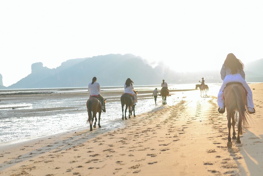 Sunset Horse Riding and BBQ Dinner Tour At Ao Nam Mao Beach Krabi