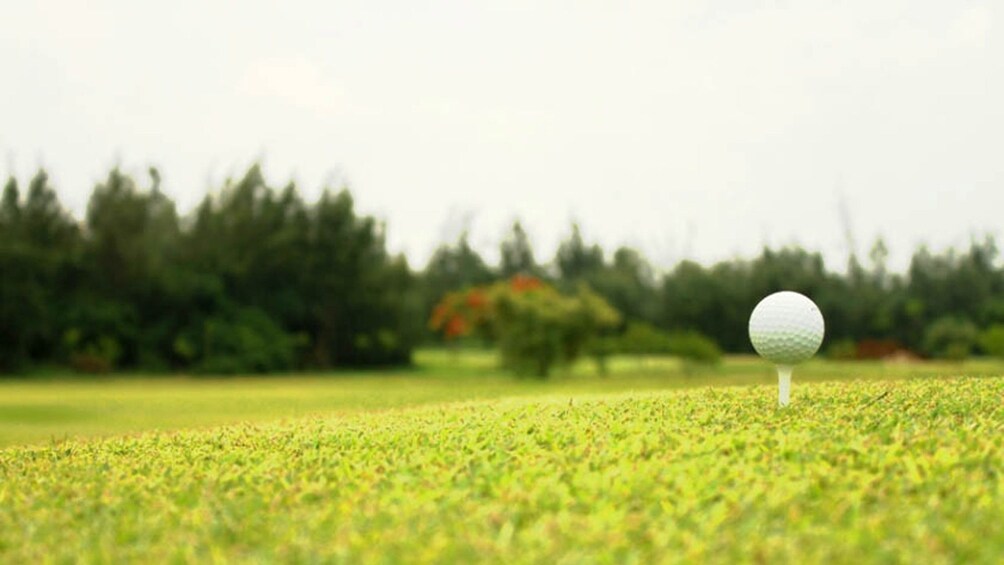 Golf ball on a tee at Long Thanh Golf Club