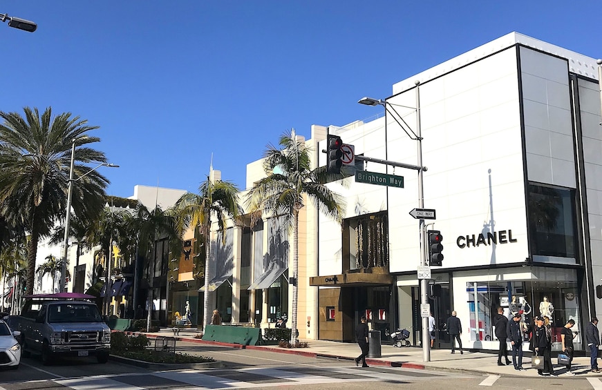 4-Hour Private L.A. City Tour with a Pickup in Santa Monica