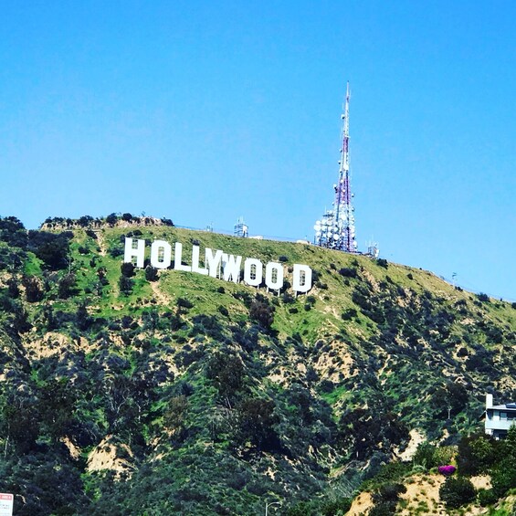 4-Hour Private L.A. City Tour with a Pickup in Santa Monica