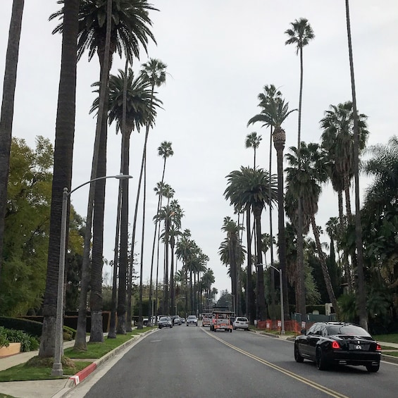 4-Hour Private L.A. City Tour with a Pickup in Santa Monica
