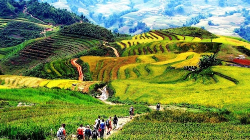 Experience 3 Days Sapa Trekking Tour with Fansipan From Hanoi