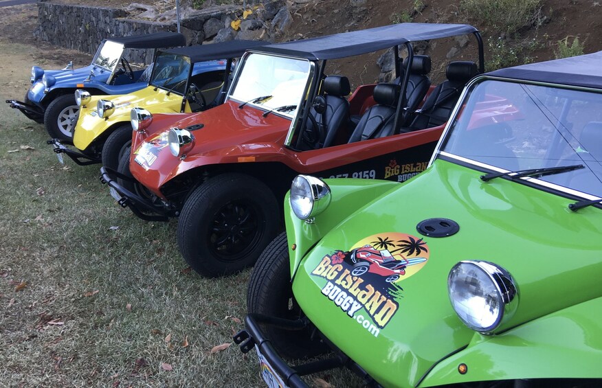 8 Hour Buggy Rental: We Deliver the Fun to You.
