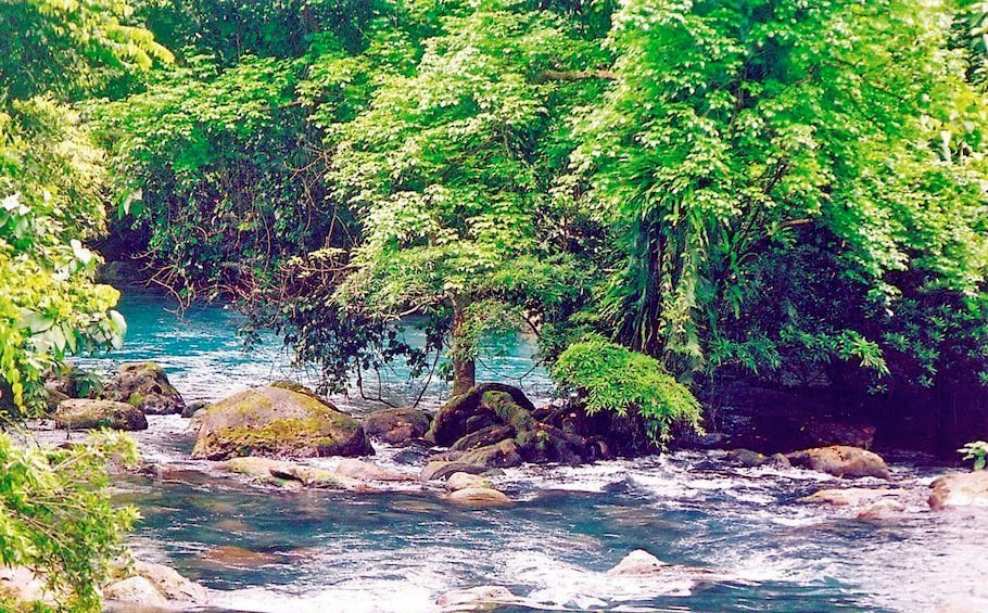 River in Vietnam