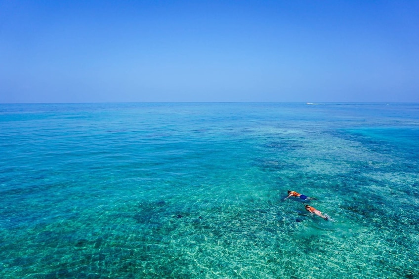 All-Inclusive Sailing, Snorkeling Espiritu Santo Island