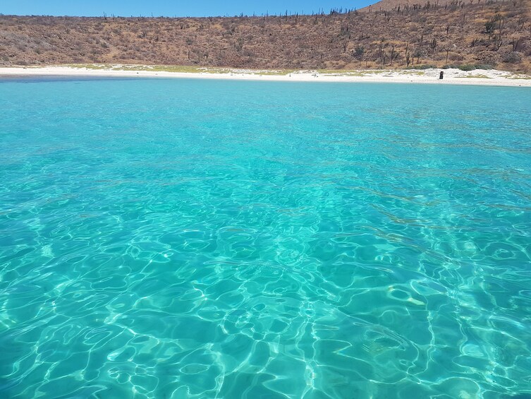 All-Inclusive Sailing, Snorkeling Espiritu Santo Island