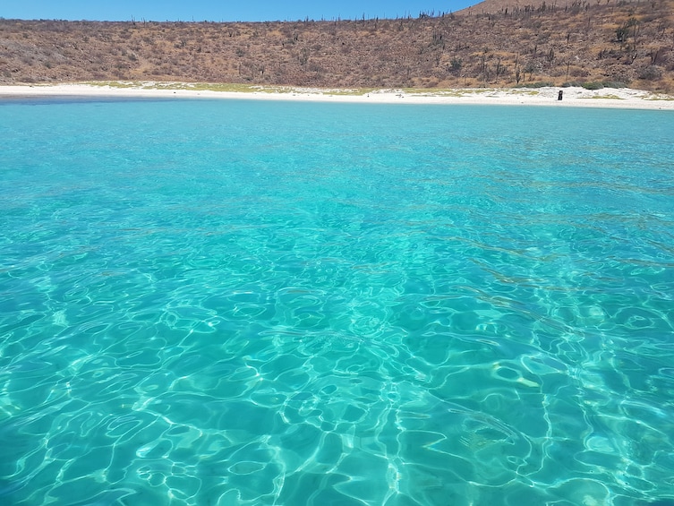 All-Inclusive Sailing, Snorkeling Espiritu Santo Island