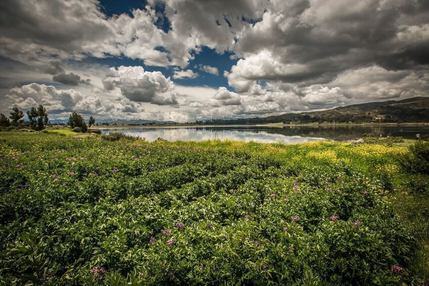 Cusco: Full Day Authentic Sacred Valley