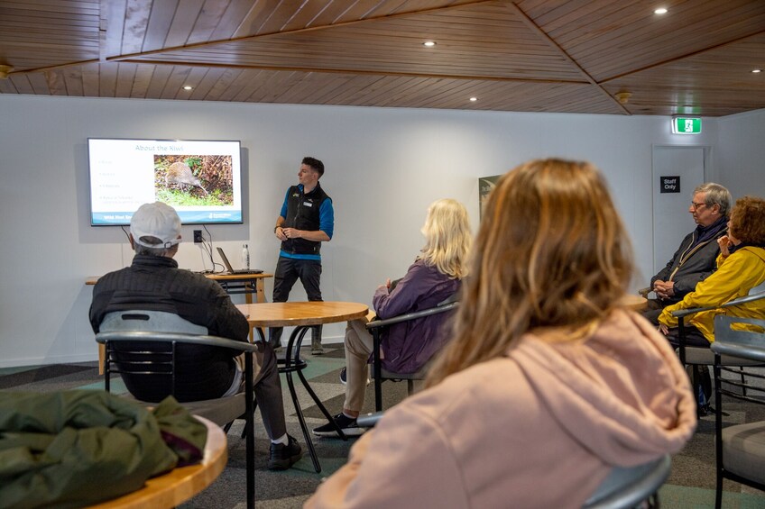 Stewart Island Wild Kiwi Encounter
