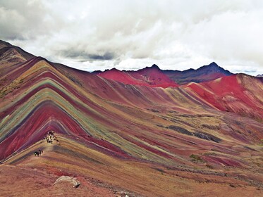 Cusco: Full-Day Trekking Full Day Rainbow mountain with lunch