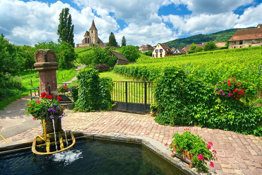 Alsace Villages Half-Day Tour From Colmar