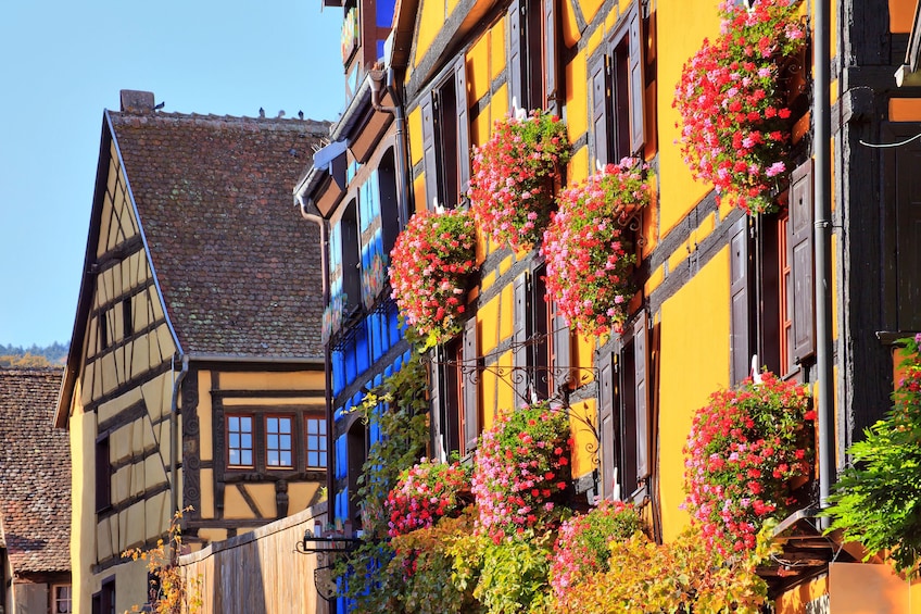 Alsace Full-Day Wine Tour From Colmar