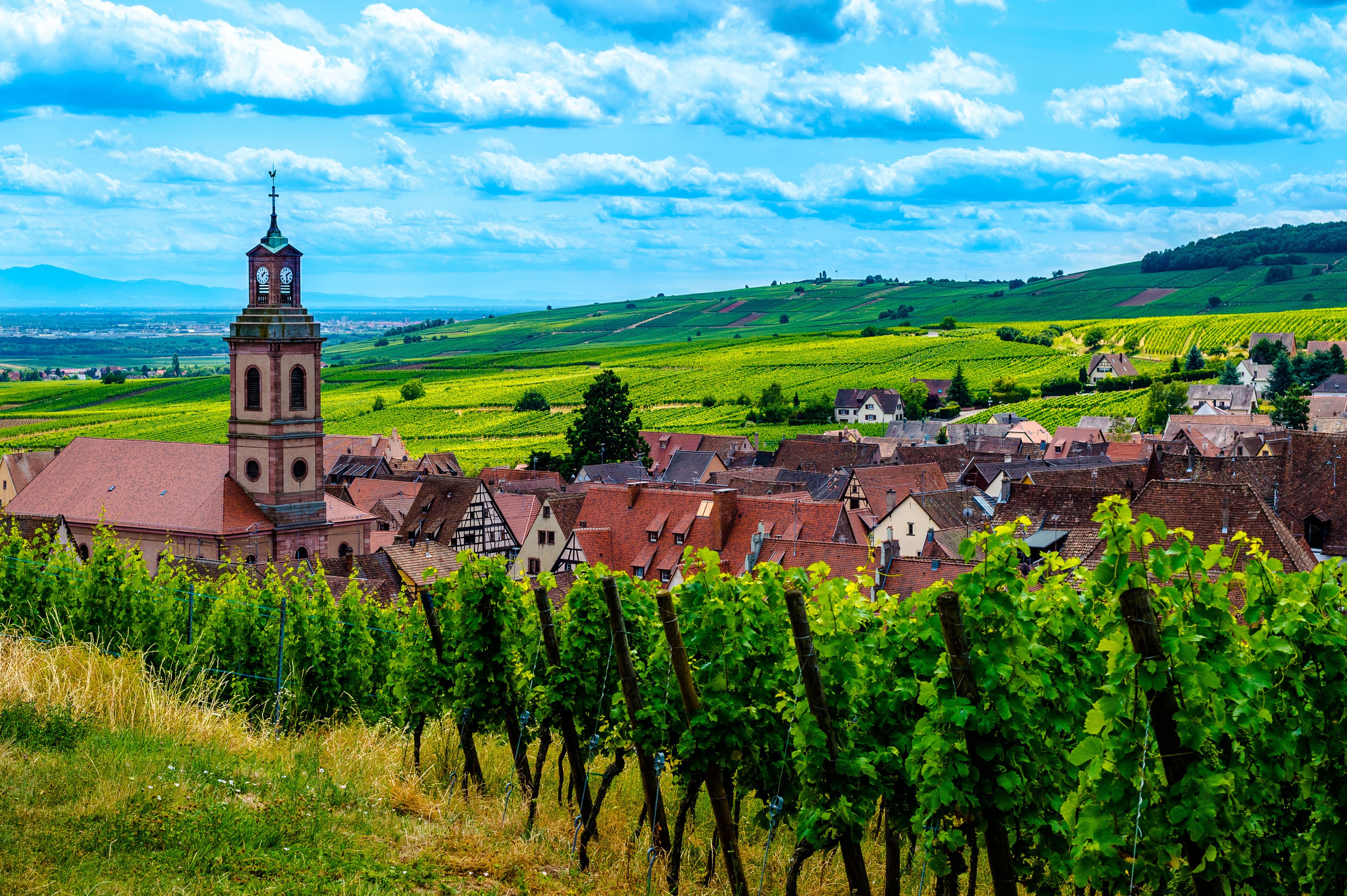 wine tours of alsace