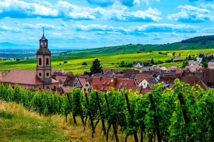 Alsace Full-Day Wine Tour From Colmar