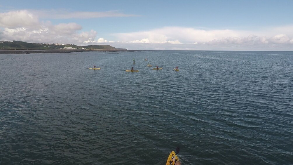 Show item 2 of 2. Paddleboard Hire