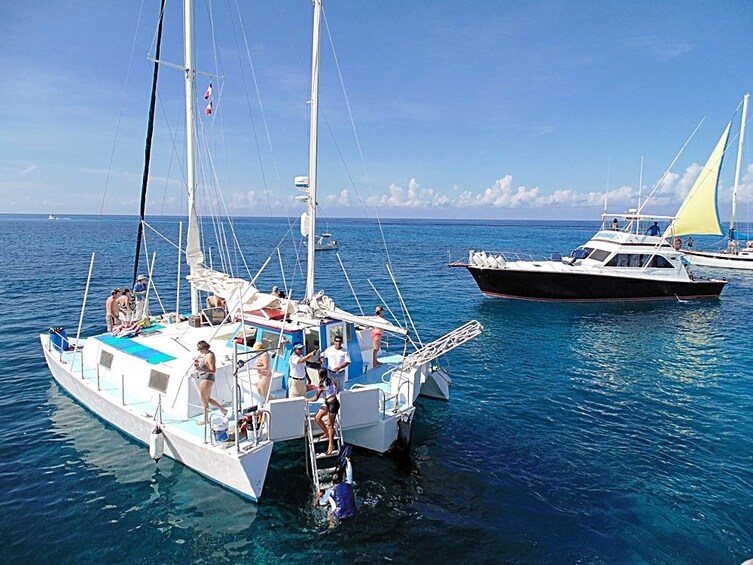 Snorkeling in Cozumel: Cozumel Snorkeling Tours | Travelocity