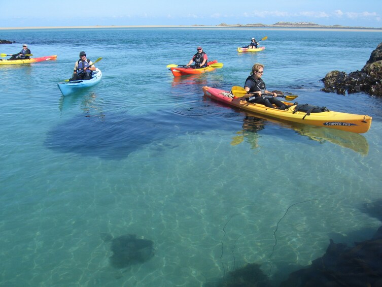 Show item 1 of 1. Kayak Hire