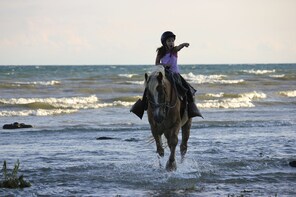 Niagara Adventure Beach Trail Ride