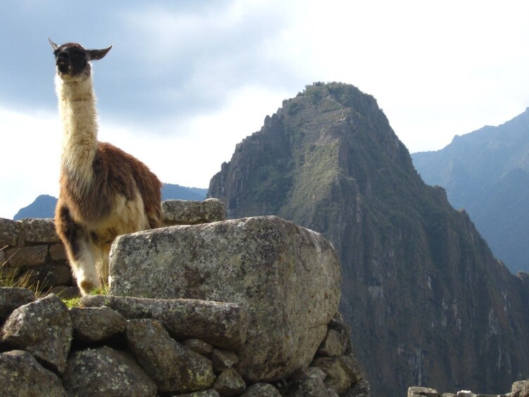 2-Day Tour to the Sacred Valley & Machu Picchu