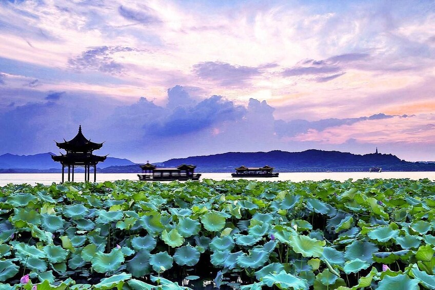 Private Hangzhou Day Tour From Shanghai With Lunch 