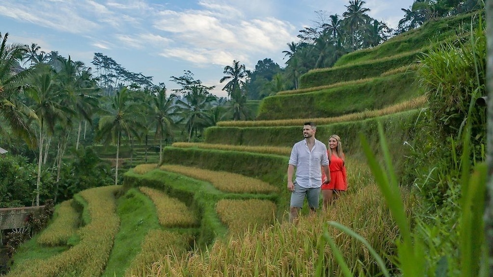 Show item 1 of 9. Private Tour: Bali Top Sites