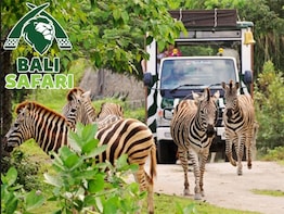 Bali Safari And marine Park Jungle Hopper Package