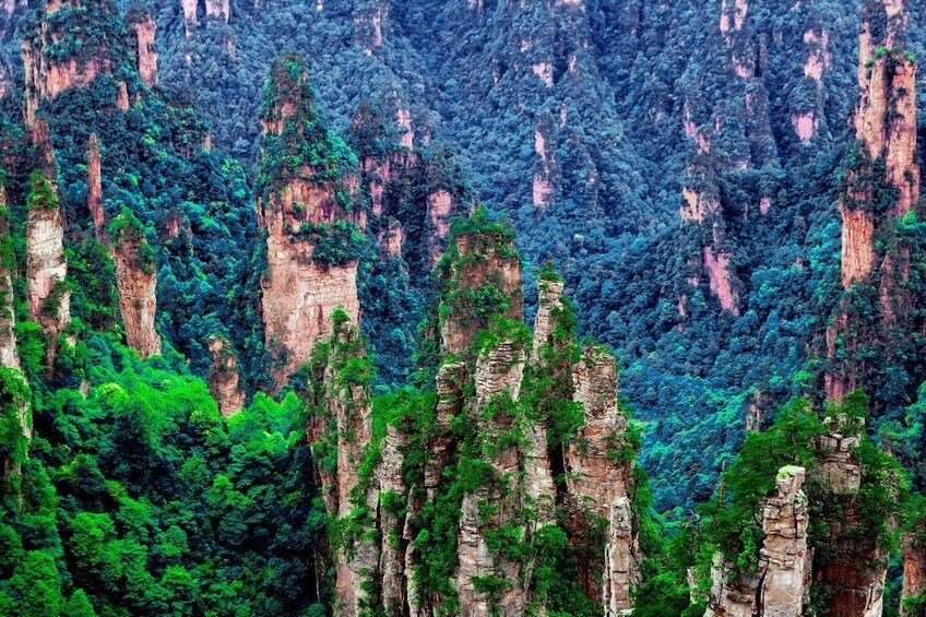Private Zhangjiajie National Forest Park Day Trip  