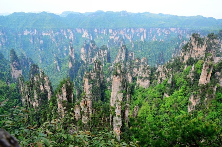 Private Zhangjiajie National Forest Park Day Trip  