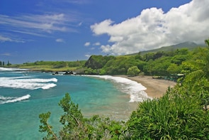Private Hana Beaches Tour