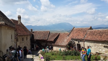 Bears Sanctuary+Rasnov Fortress+Bran Castle tour from Brasov