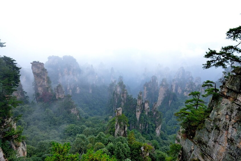 Private Zhangjiajie Grand Canyon Day Trip
