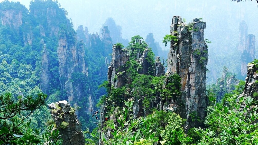 Private Zhangjiajie Grand Canyon Day Trip