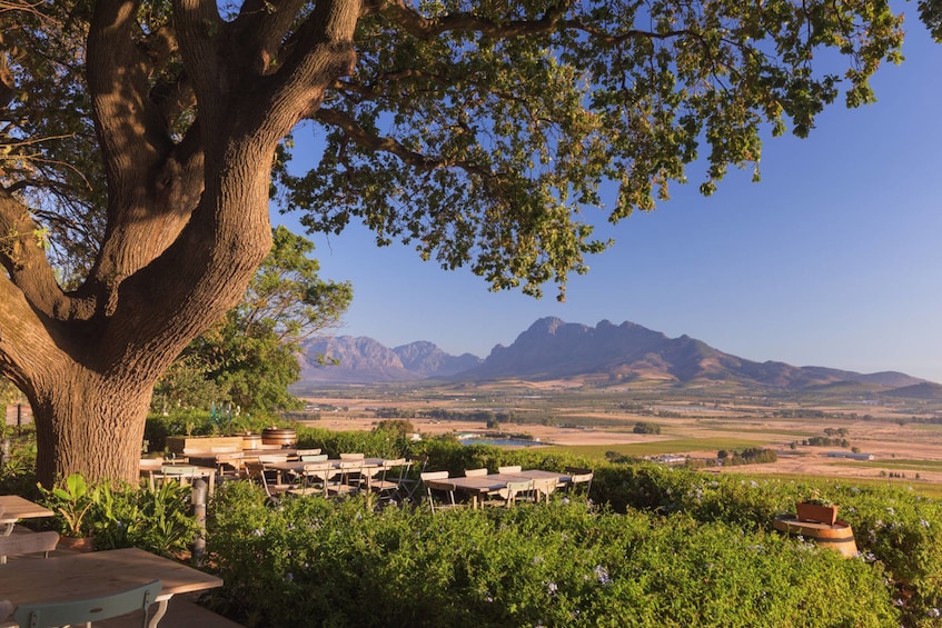 Show item 2 of 10. Winelands Cycling Adventure