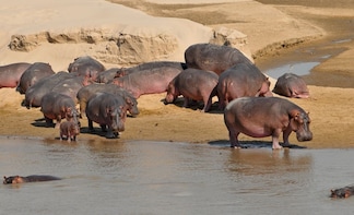 6 Days Kenya Allround Safari - Mombasa
