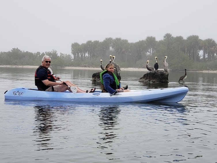 Show item 4 of 8. Manatee and Dolphin kayak tour \ Haulover canal (Titusville)