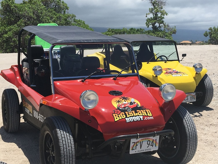 4 Hour Buggy Rental: We Deliver the Fun to You.